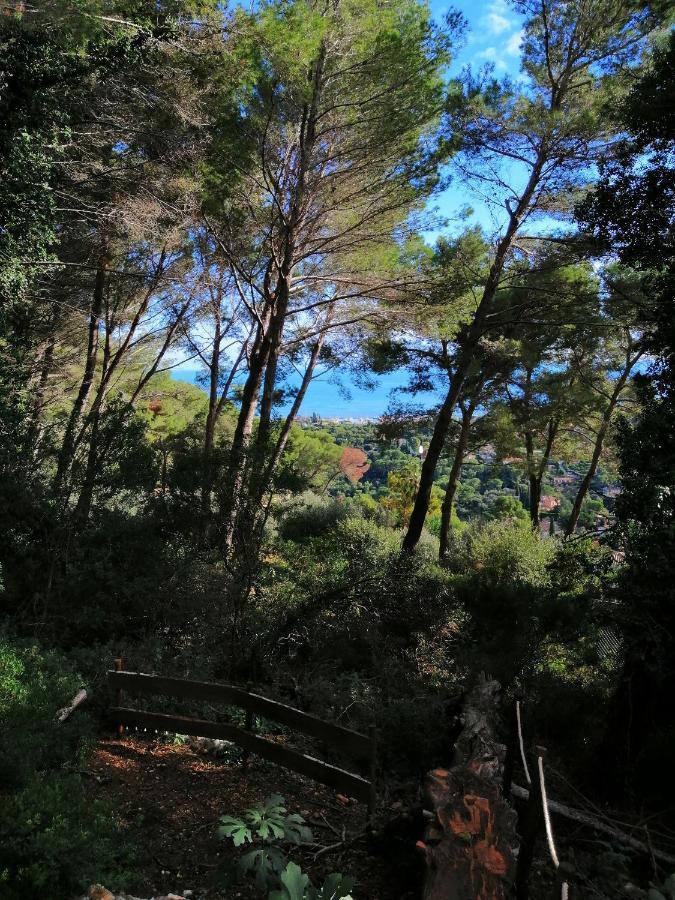 Cabane Azur Mountain Vallauris Exterior foto